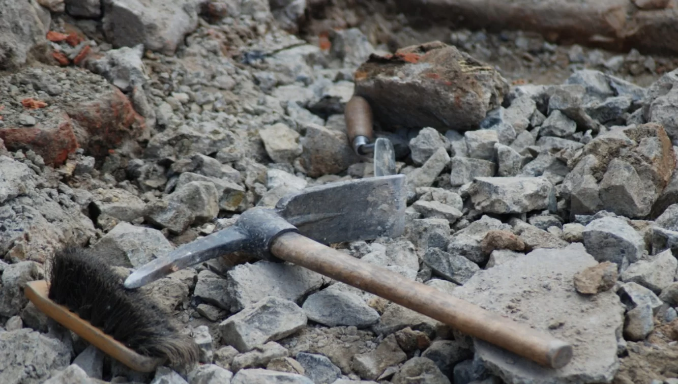 Ученые нашли останки древнего крокодила, который передвигался на двух лапах